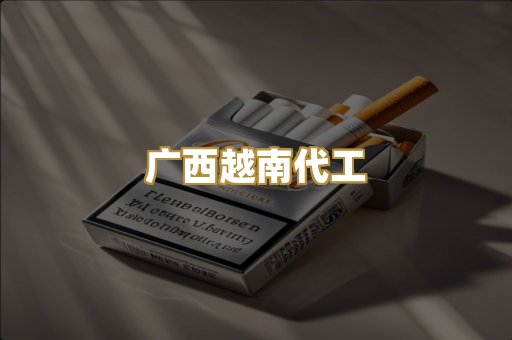 广西越南代工